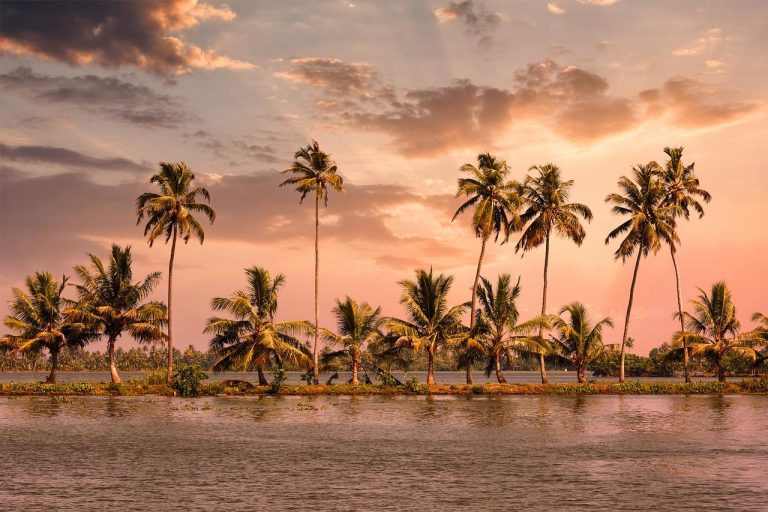Best Time To Visit Alleppey
