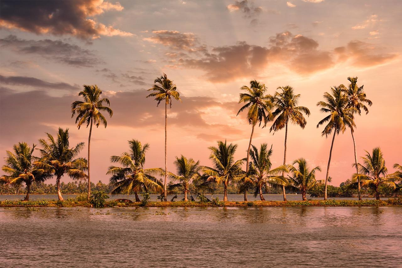 Best Time To Visit Alleppey