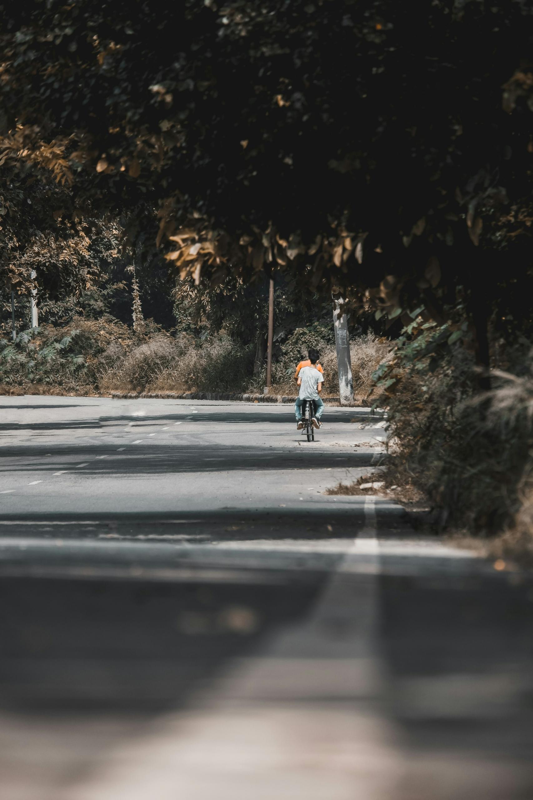 Things to do in Chandigarh