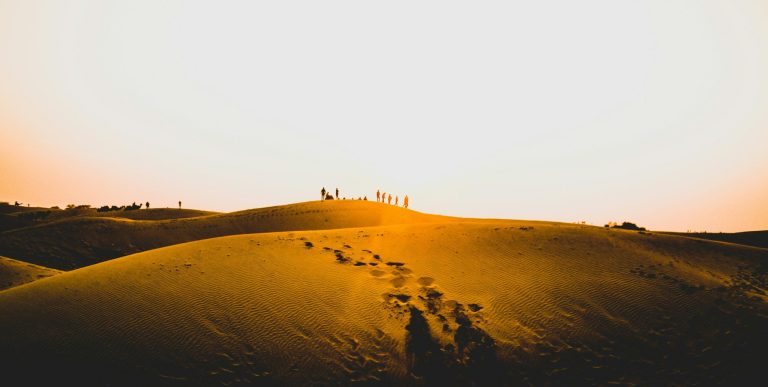 Thar Desert Safari Guide: Where Adventure Meets the Golden Sands