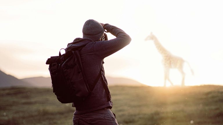 Lens Ready? Discover the Best Places for Wildlife Photography in India