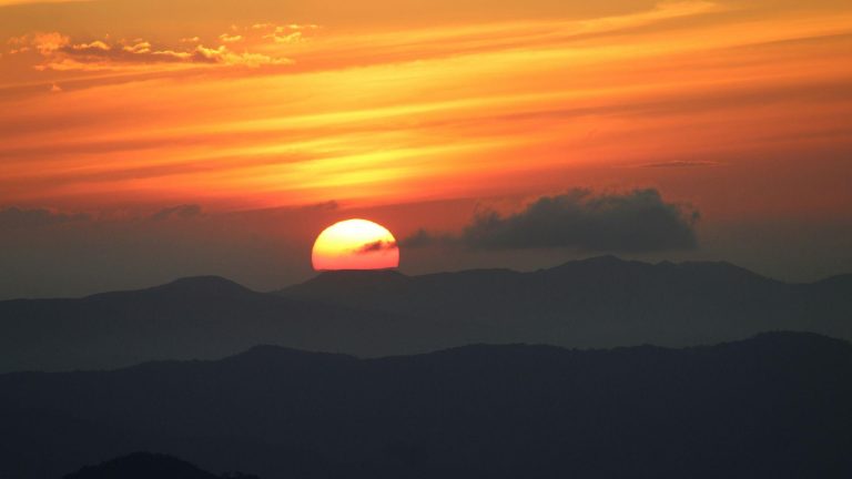 Best Time to Visit Wayanad