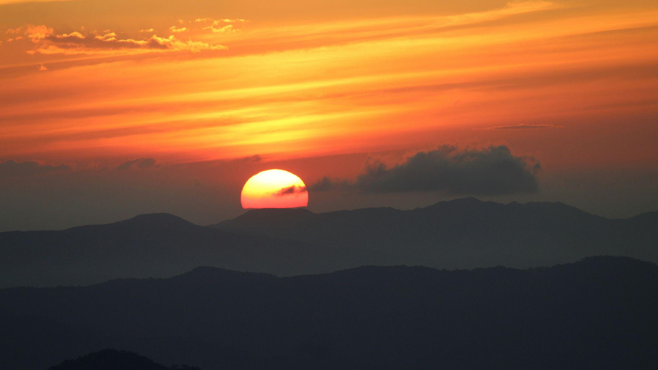 Best Time to Visit Wayanad