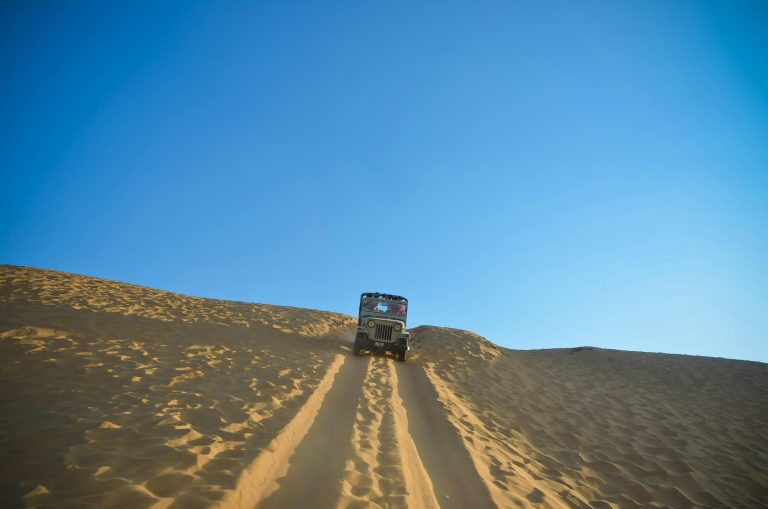 From Palaces to Desert: The Ultimate Road Trip To Rajasthan in December