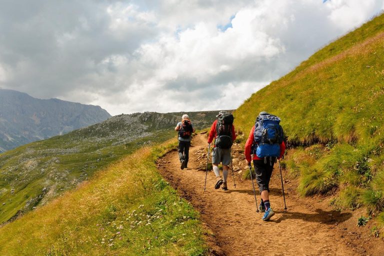 Misty Hills to Waterfalls: Ultimate Guide to Trekking in Coonoor