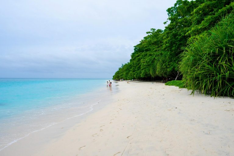 From Radhanagar To Elephant: Explore The Top Beaches In Havelock Island