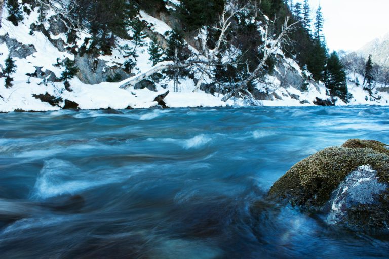 Things To Do In Gulmarg