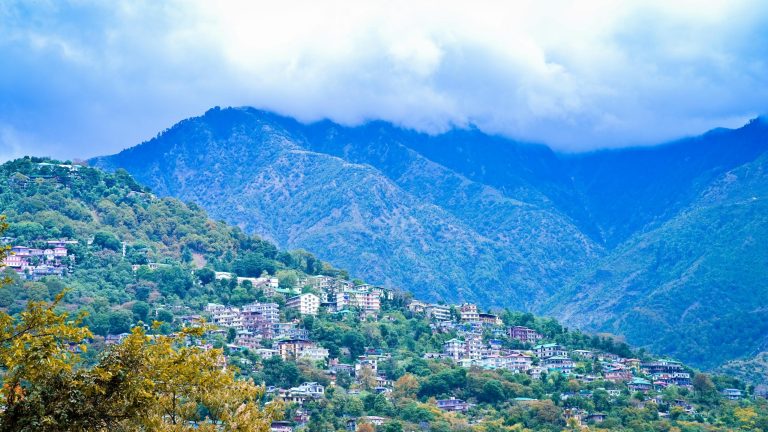Best Time to Visit Dharamshala 