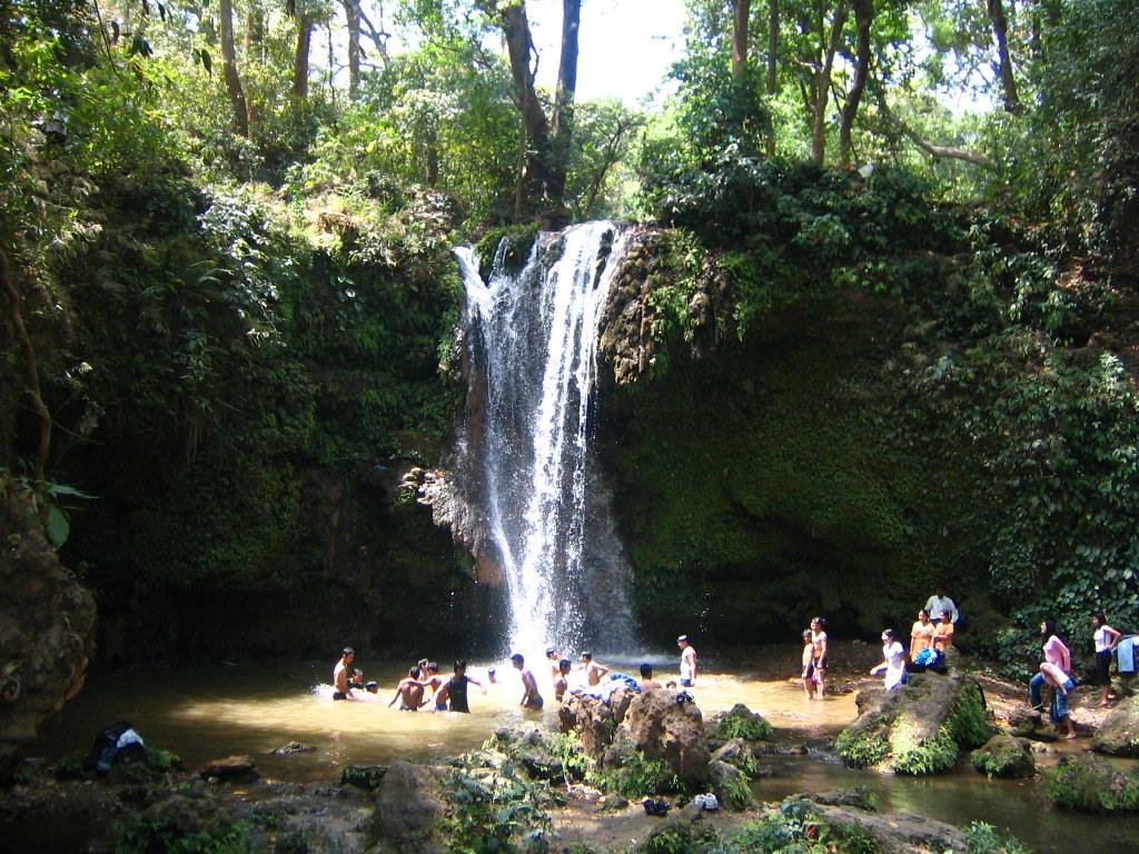 Best Time to Visit Jim Corbett