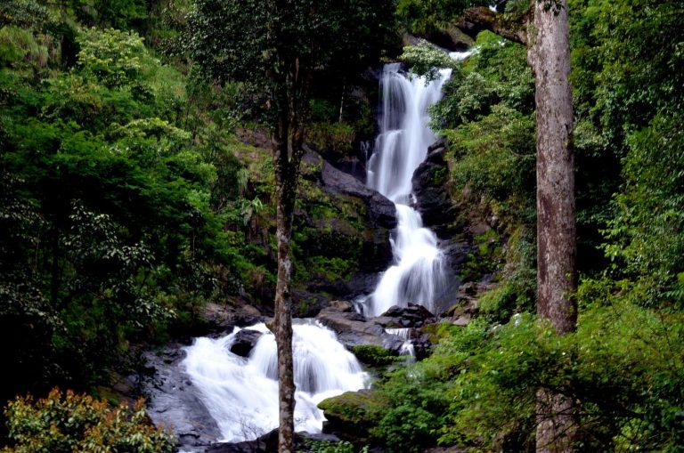 Places to Visit in Kabini