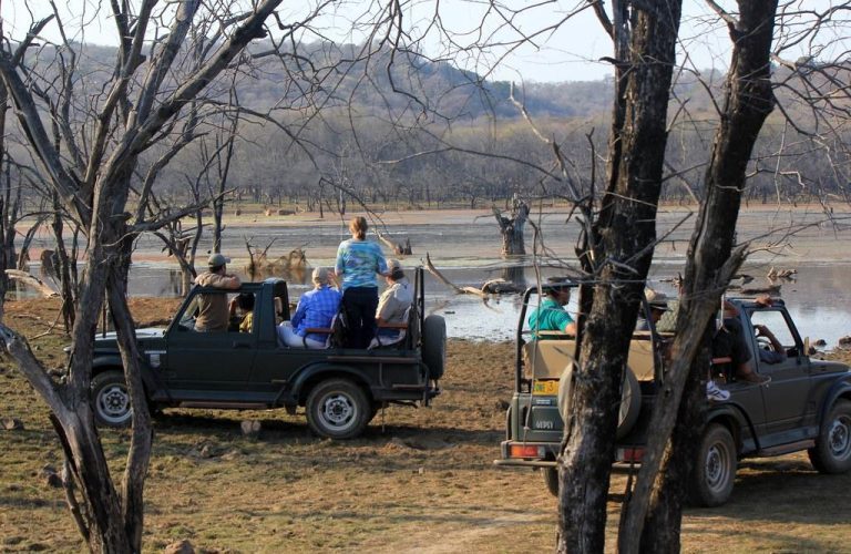 Things to do in Jim Corbett: Safaris, Photography and more