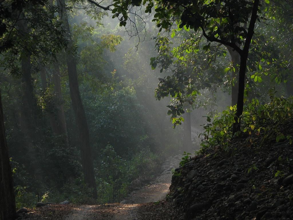 Places to visit in Jim Corbett