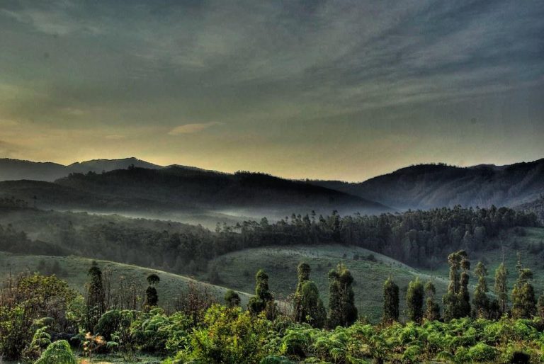 Escape to the Hills: Your Perfect Weekend Getaway to Kodaikanal from Bangalore & Nearby Cities