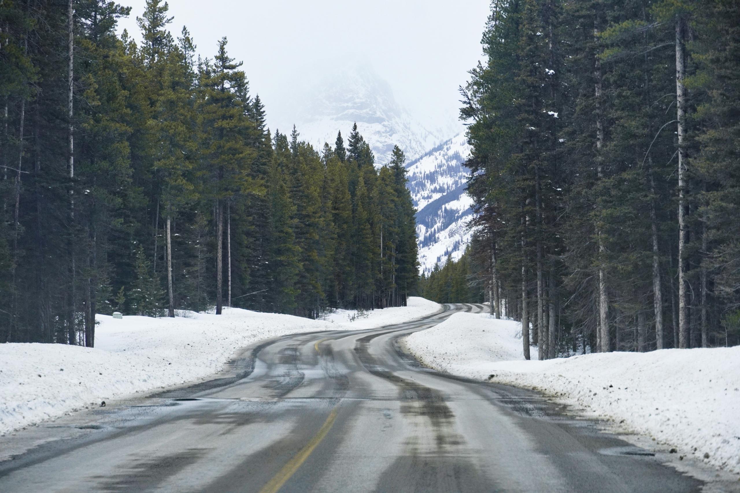 How to Reach Sonmarg 