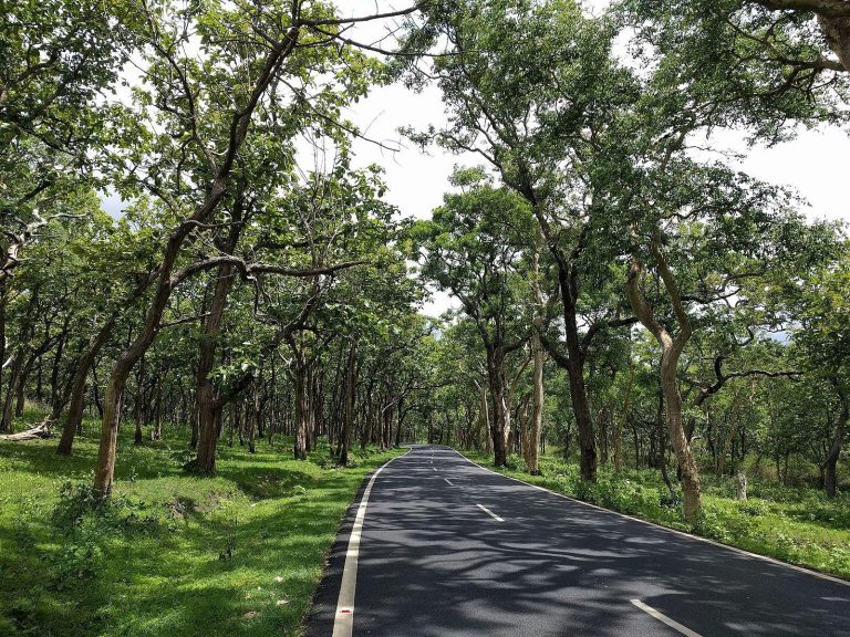 How to Reach Kabini 