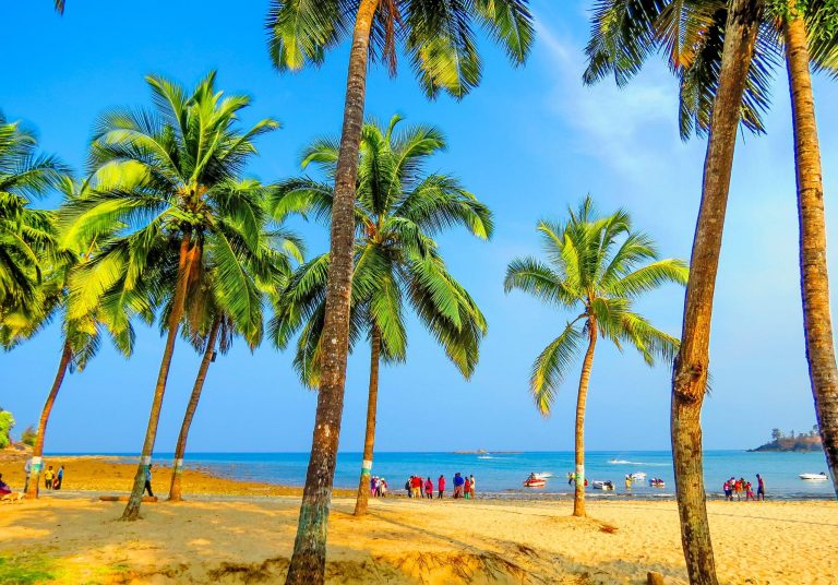 Top 5 Things to Do in Tarkarli: From Water Sports to Local Food