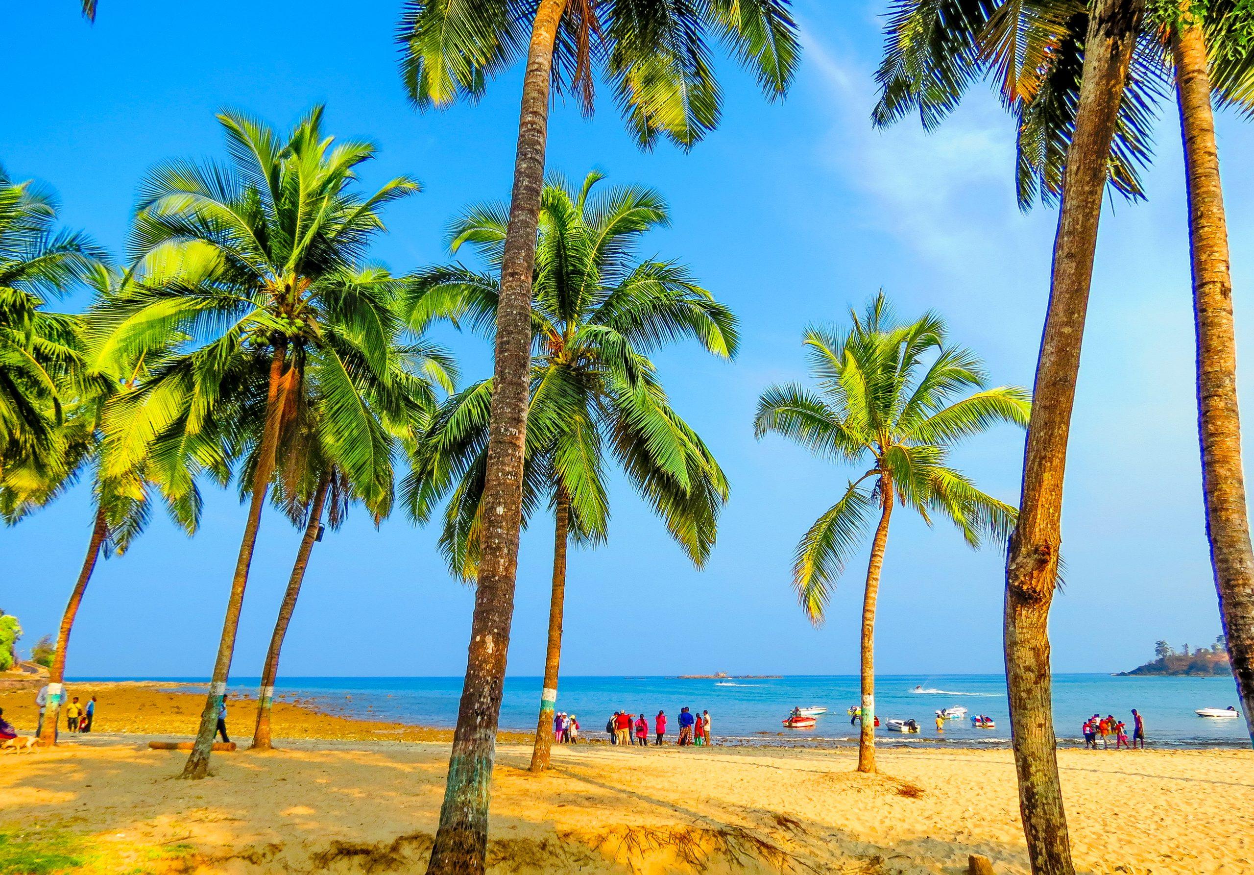 Top 5 Things to Do in Tarkarli: From Water Sports to Local Food