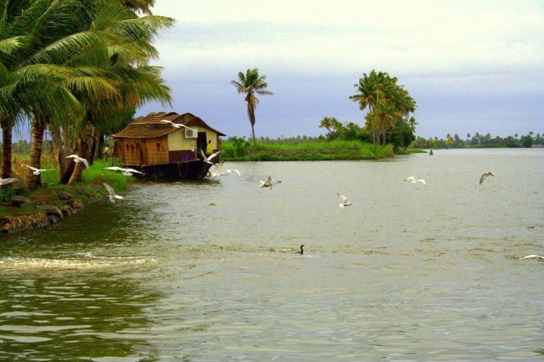 Best Places to Visit in South India in December for Stunning Views & Festivals