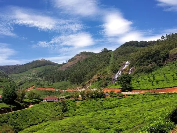 Kochi to Munnar Distance Guide 2026: Route, Stops & Tips