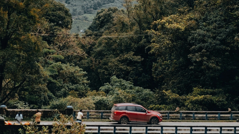 From Backwaters To Hills: A Road Trip To Kerala In November & December