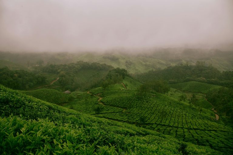 Places To Visit In Darjeeling