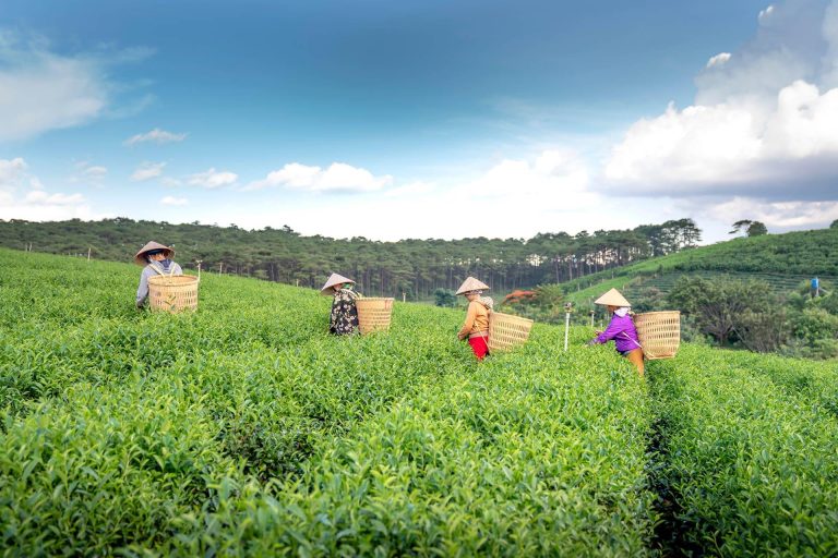 How To Reach Darjeeling