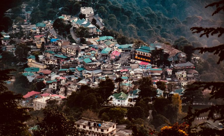Top 6 Hidden Gems in Dharamshala No Tourist Will Tell You About!