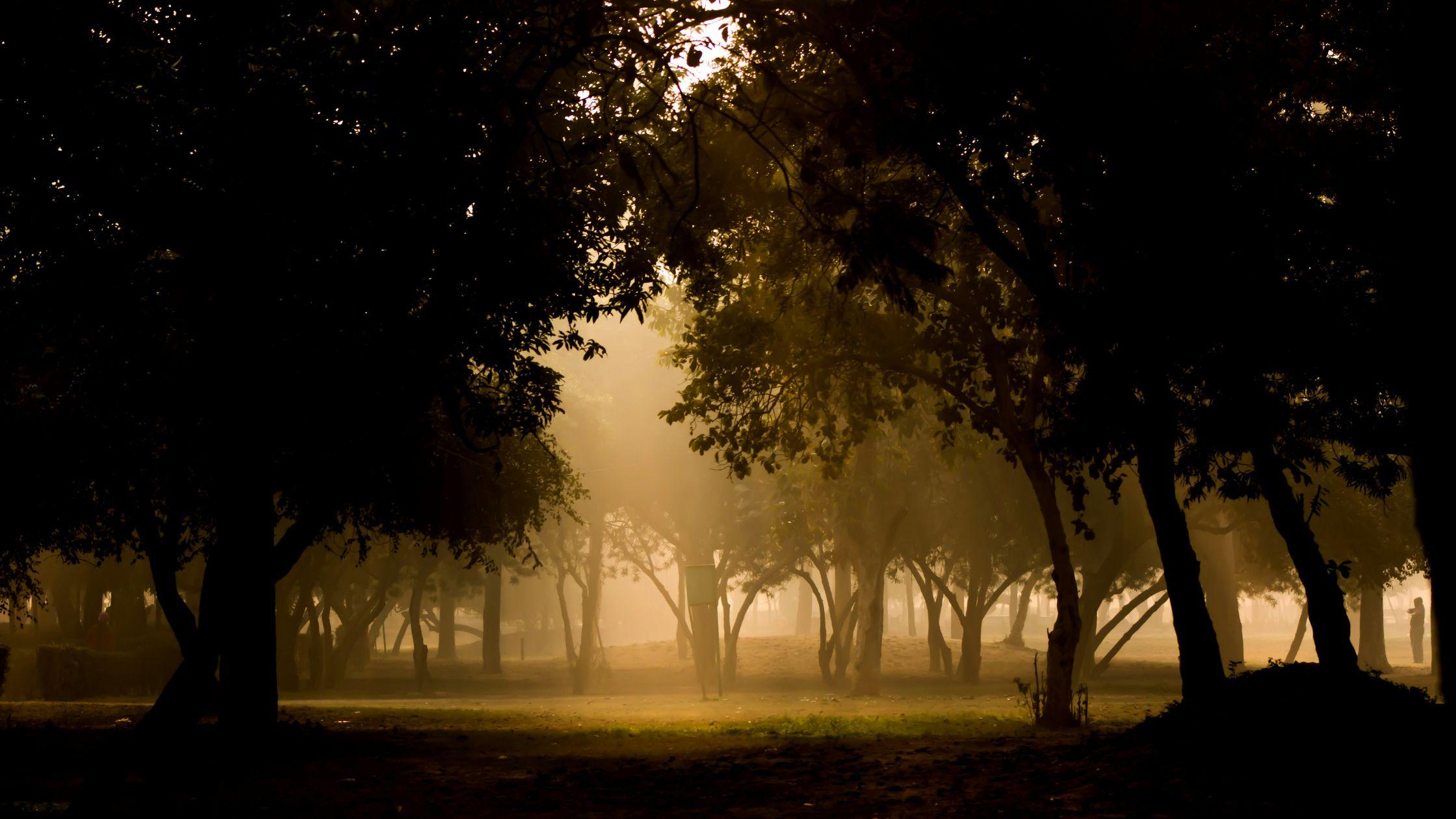 Best Time to Visit Delhi: When to Experience the Capital at Its Best