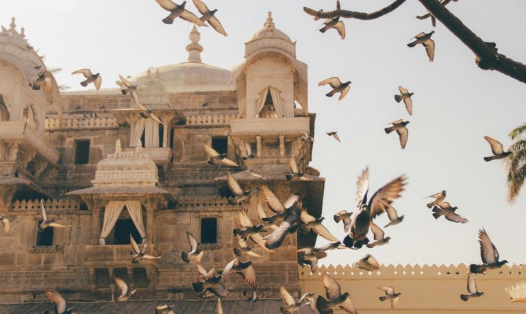 Beyond the Palaces: Unique Things to Do in Jaipur