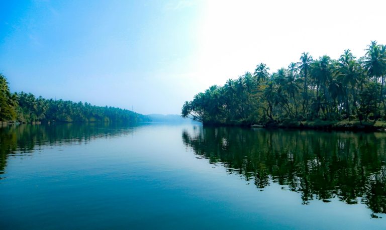 Experience Magic During the Best Time to Visit Kozhikode 