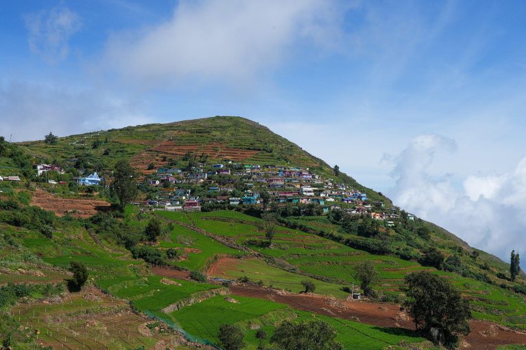 20 Best Places to Visit in Ooty: Tamil Nadu Tourism Guide