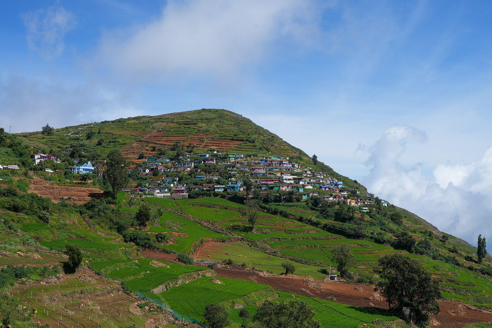 20 Best Places to Visit in Ooty: Tamil Nadu Tourism Guide