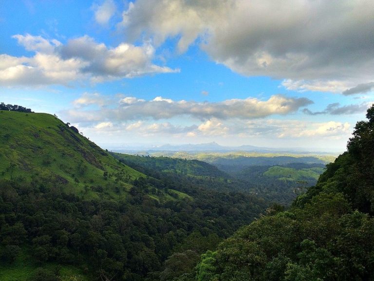 Top Wayanad Homestays with Private Pools for Your Perfect Vacation
