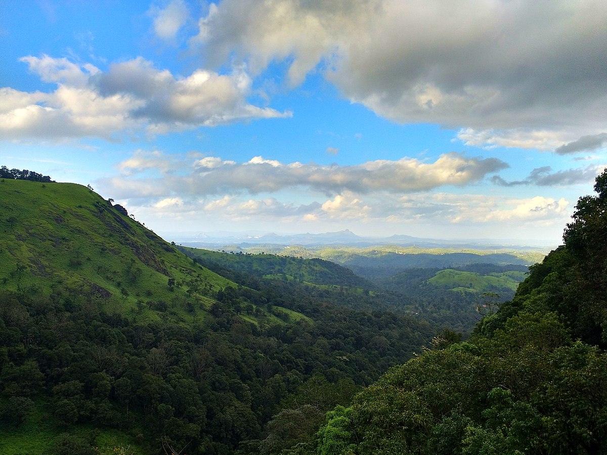 Top Wayanad Homestays with Private Pools for Your Perfect Vacation