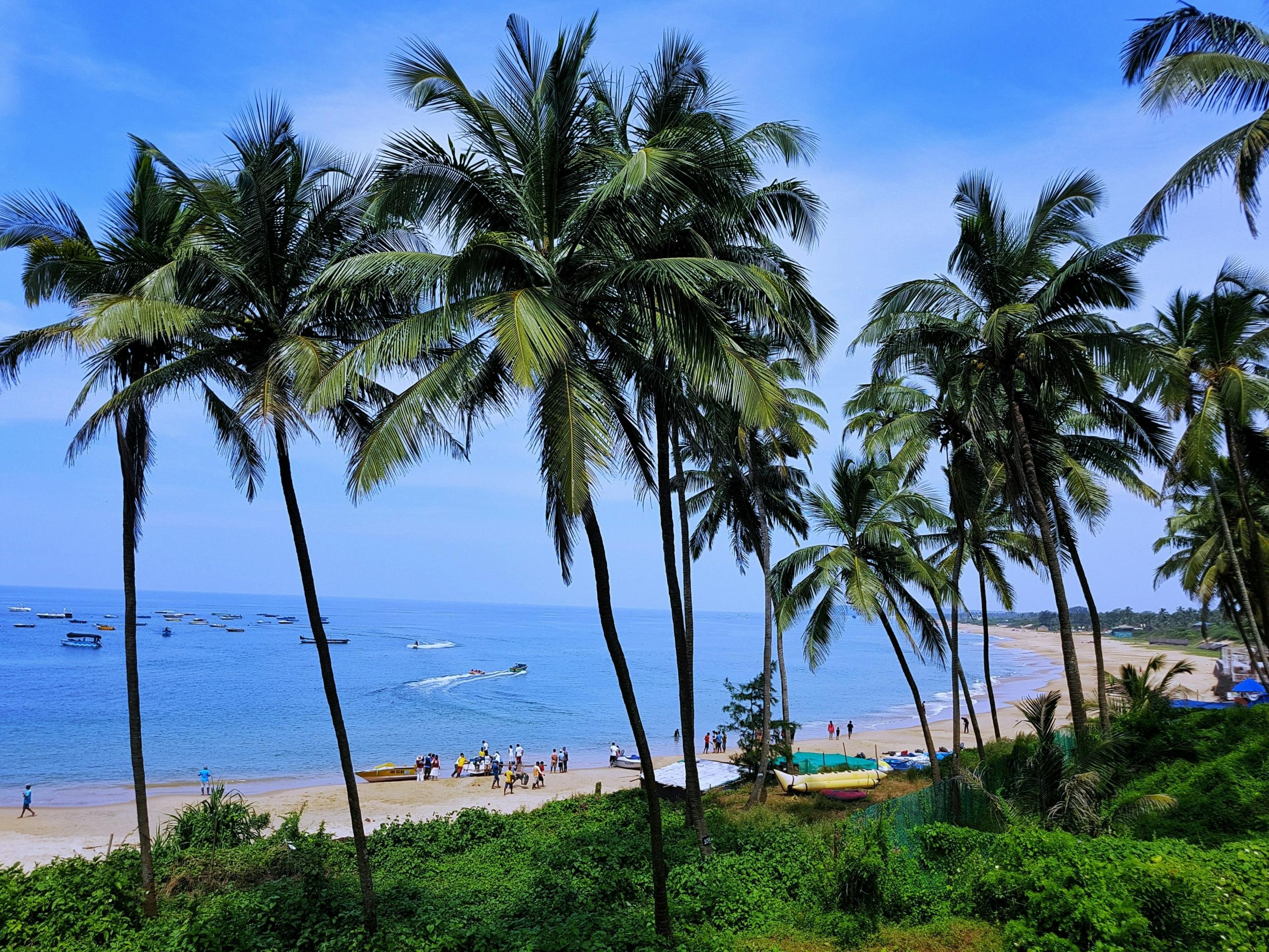 M2M Ferries Mumbai to Goa Ferry Launch: All You Need to Know (Updated 2026 Info)