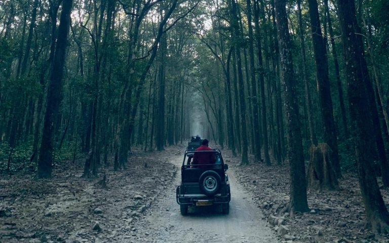 Luxury in the Wild: StayVista Stays Near India’s Best Wildlife Sanctuaries