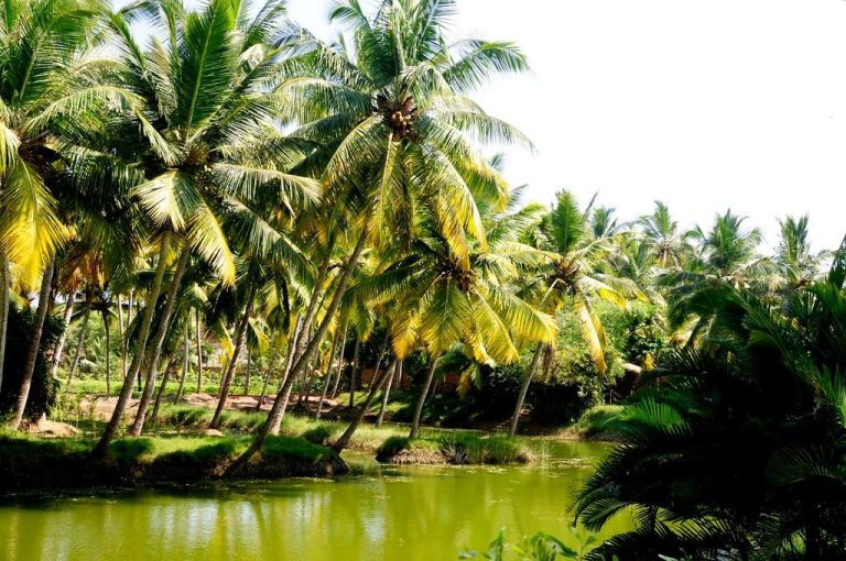 11 Offbeat Places in Kerala You Won’t Find on the Usual Tourist Map