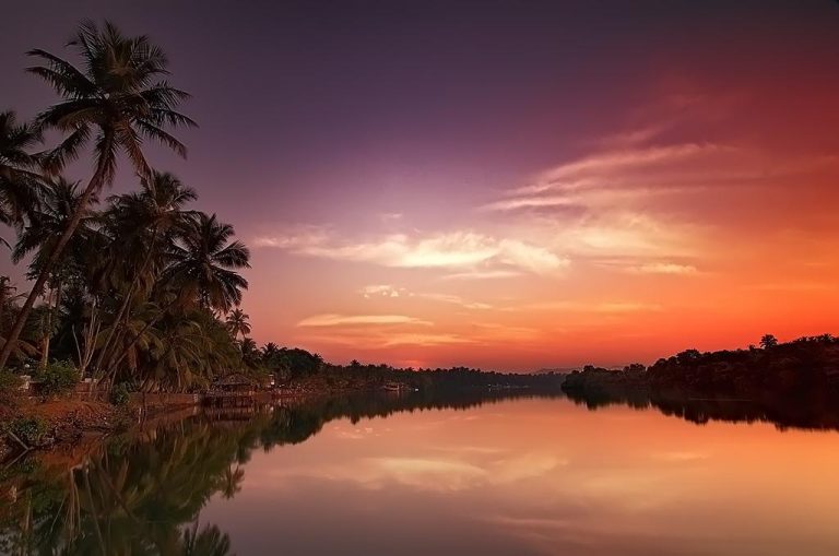 North Goa vs. South Goa: What’s Trending in Goa This Summer