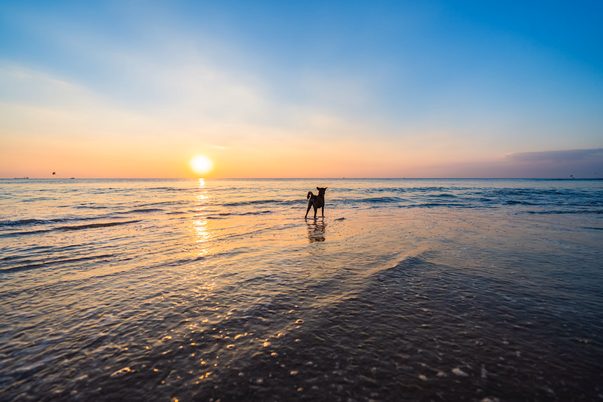 Sunset Spots in Goa: Places to Visit in Goa for the Best Views