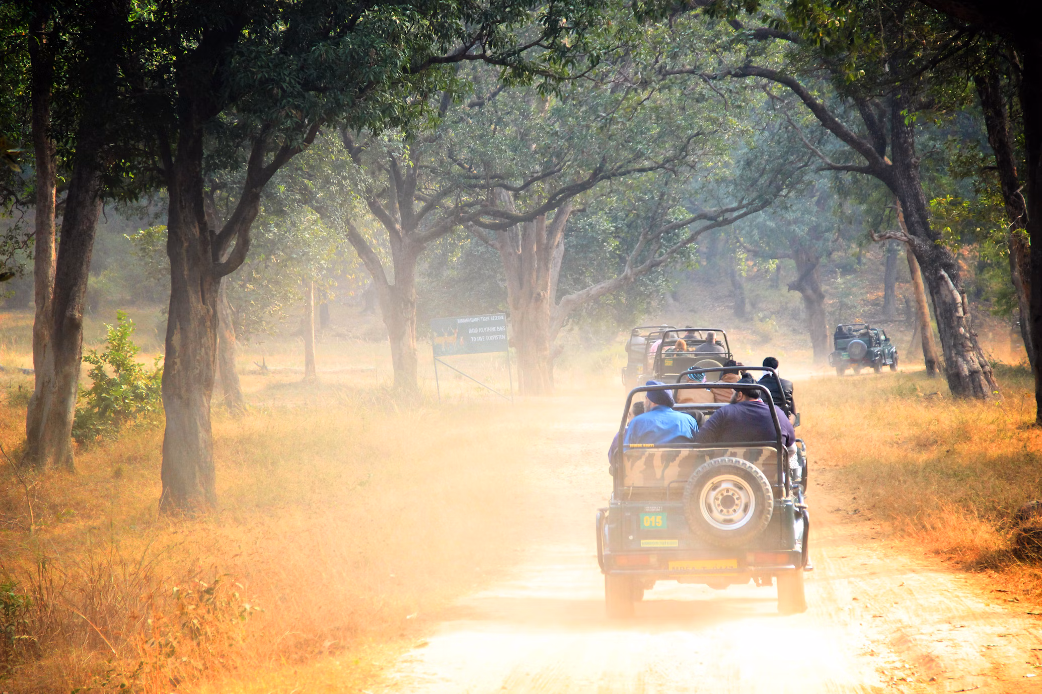 Best Jungle Safaris near Delhi: Facts, Accommodation, Travel