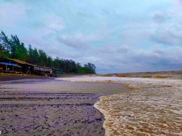 Book Ro-Ro Ferry from Mumbai to Alibaug: Latest Timings, Experience, and Ticket Bookings