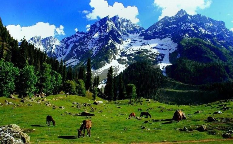 Kashmir in May: A Summer Guide to the Best Places to Visit in Kashmir in Summer