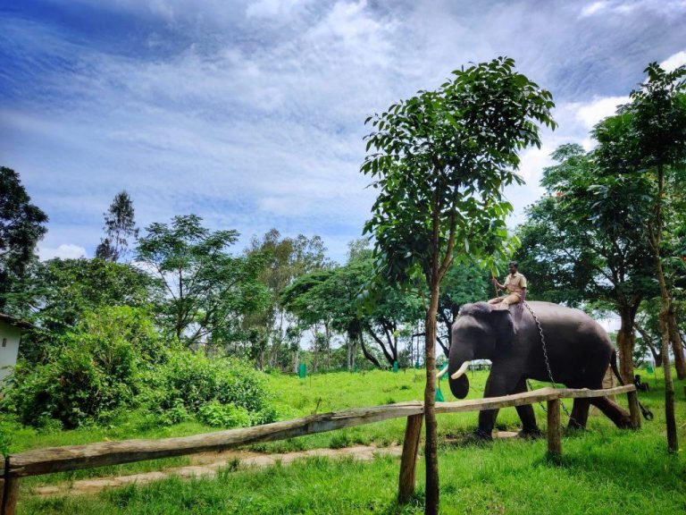 Weather in Coorg during Monsoon Season: Is It The Best Season to Visit?