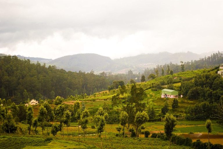 The Best Nilgiri Hill Stations in South India That No One Talks About Enough