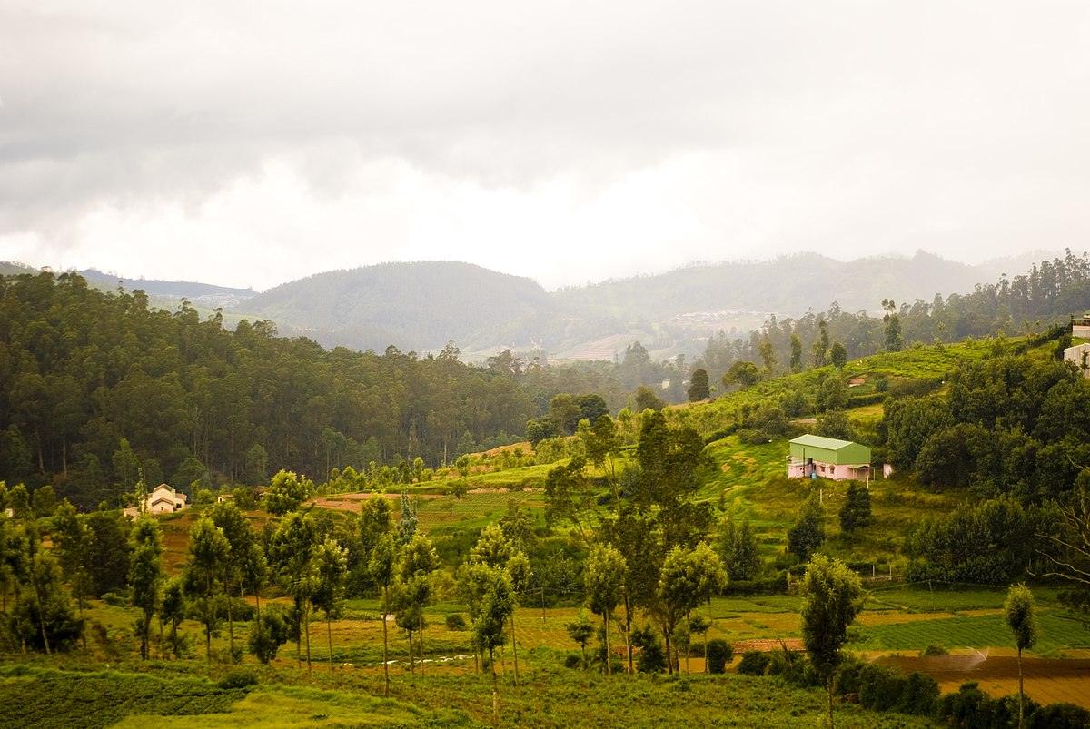 The Best Nilgiri Hill Stations in South India That No One Talks About Enough