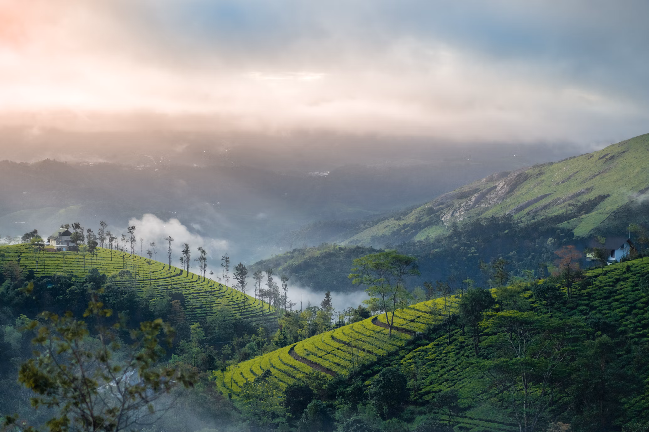 Vagamon in Kerala: A Perfect Summer Escape in South India