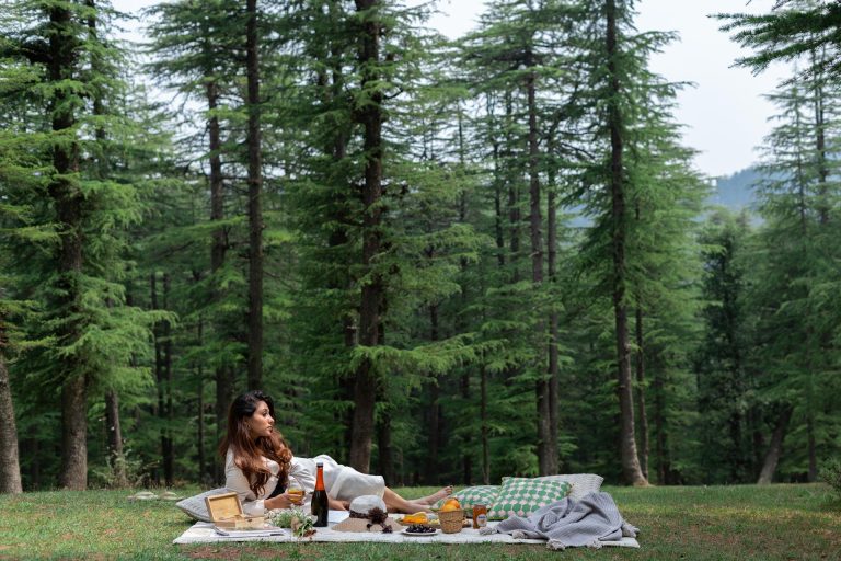 The Ultimate Itinerary: Covering the Chandigarh to Manali Distance in May and June