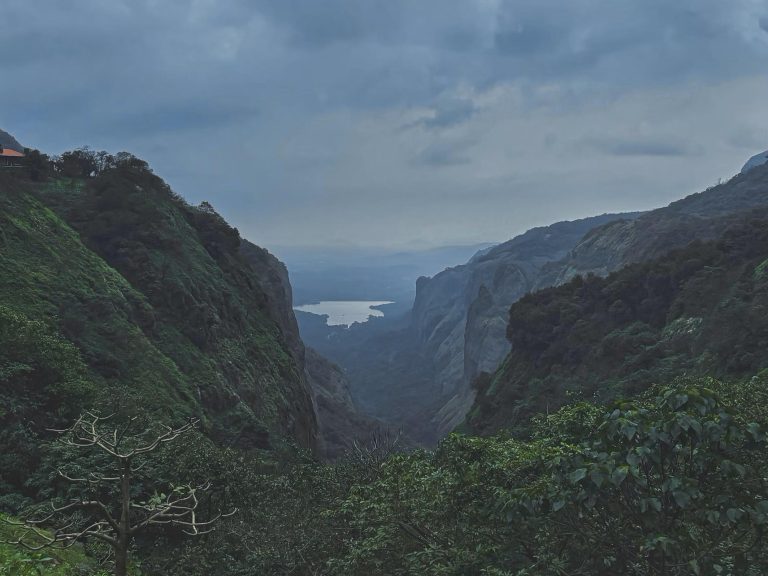 Andharban Jungle Trek: Ultimate Monsoon Trekking Guide