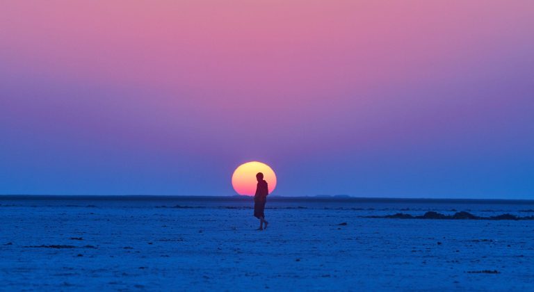 Kutch in Monsoon: Gujarat’s Hidden Green Paradise