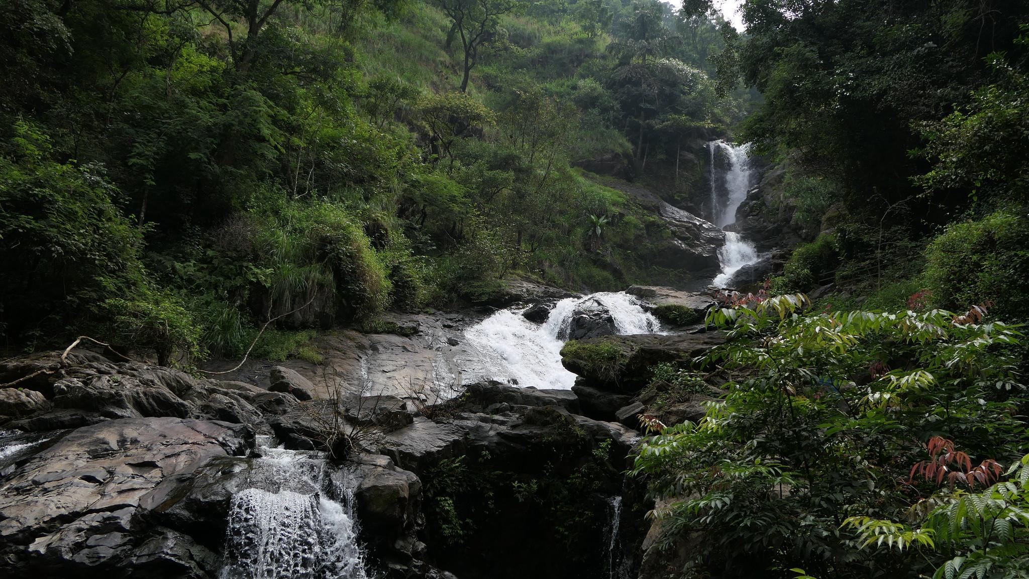 Abbey Falls or Iruppu Falls? A Traveller’s Guide to the Most Popular Waterfalls in Coorg